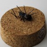 Glas Spinne, detail-getreu handgemacht