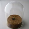 Glas Fliege, detail-getreu handgemacht