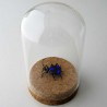 Glas Bolivianischer Fleckenkäfer, detail-getreu handgemacht
