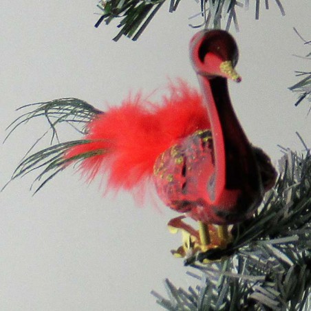 Glasvogel, kleiner Halsvogel Rot, Pfauenfeder