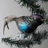 Glasvogel, Star mit Naturfedern