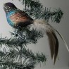 Glasvogel, Star mit Naturfedern