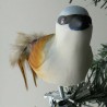 Glasvogel, Neuntöter mit Naturfedern