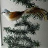 Glasvogel, Neuntöter mit Naturfedern