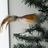 Glasvogel, Neuntöter mit Naturfedern