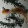 Glasvogel, Neuntöter mit Naturfedern