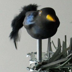 Glasvogel, mini Amsel mit Naturfedern