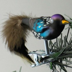 Glasvogel, mini Star mit Natur-federn