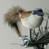 Glasvogel, mini Neuntöter mit Naturfedern