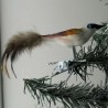 Glasvogel, mini Neuntöter mit Naturfedern