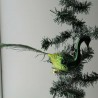 Glasvogel, Pfau grün gedrehter Kopf mit Pfauenfeder
