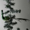 Glasvogel, Pfau grün gedrehter Kopf mit Pfauenfeder