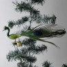 Glasvogel, Pfau grün mittel mit Pfauenfeder