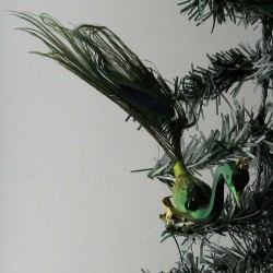 Glasvogel, Pfau grün mittel mit Pfauenfeder