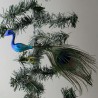 Glasvogel, Pfau blau klein mit Pfauenfeder