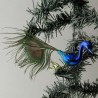Glasvogel, Pfau blau klein mit Pfauenfeder