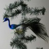 Glasvogel, Pfau blau klein mit Pfauenfeder