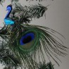 Glasvogel, Pfau blau klein mit Pfauenfeder