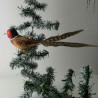 Glasvogel, Fasan mit Naturfedern gros