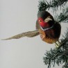 Glasvogel, Fasan mit Naturfedern gros