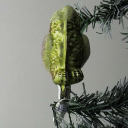 Glasvogel, Eule Klein gedrehter Kopf auf Klipp