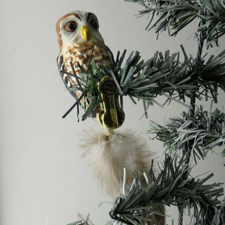 Glasvogel, Waldkauz, Naturfedern,