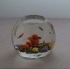Glas Paperweight  Perthshire  GB Glas Paperweight  Perthshire  GB