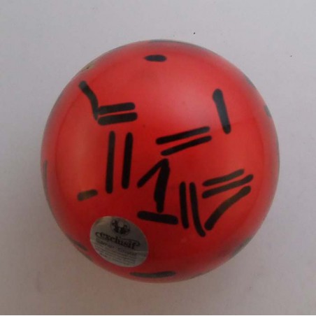 Glas Briefbeschwerer Sarner Cristal   Traumkugel  CH 1990