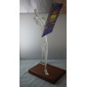 Glas Bildbetrachter 46cm Stadelmann 1988 CH Glas Bildbetrachter 46cm Stadelmann 1988 CH