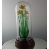 Glas Narzissen in Sturz 1997 GB