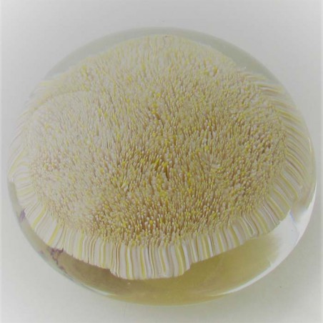 Muranoglas Briefbeschwerer ALT 1980 - 90 IT