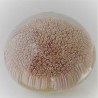 Muranoglas Briefbeschwerer ALT 1990 IT