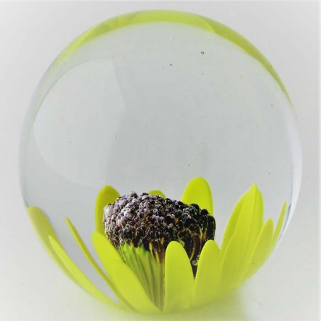 Glas Briefbeschwerer CHI