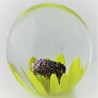 Glas Briefbeschwerer CHI Glas Briefbeschwerer CHI