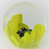 Glas Briefbeschwerer CHI Glas Briefbeschwerer CHI