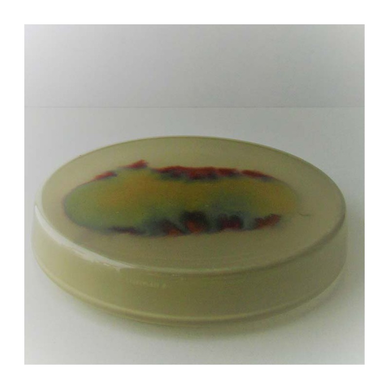 Glas Dose creme  EKA CH