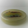 Glas Dose creme  EKA CH
