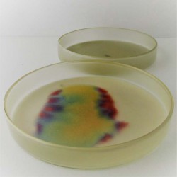 Glas Dose creme  EKA CH