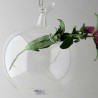 Glas--Apfelform Vase klar Dekor zum hängen und stellen