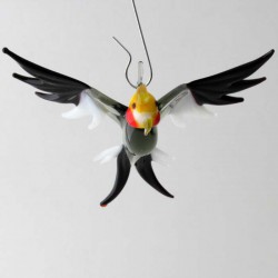 Glasvogel, Nymphensittich 69mm klein zum hängen