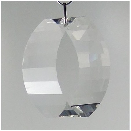 Swarovski  50 mm View zum hängen