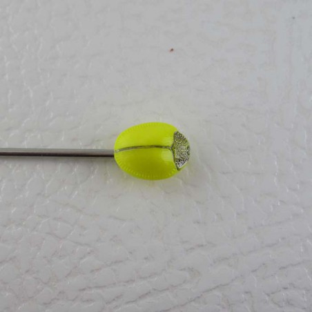 Glasknöpfe 10 mm für Kinder  mit  Skarabäus handgemalt