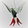 Glasvogel, Papagei 70 mm mini zum hängen,