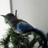 Glasvogel, Elster mit Naturfedern