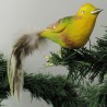 Glasvogel, Goldammer,  mit Naturfedern