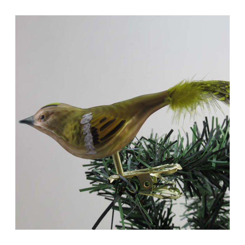 Glasvogel, Wintergoldhähnchen mit Naturfedern