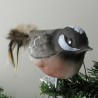 Glasvogel, Tannenmeise, mit Naturfedern