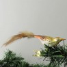 Glasvogel, mini-Feldlerche, mit Naturfedern