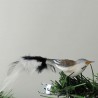 Glasvogel, mini-Schneefink, mit Naturfedern