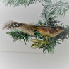 Glasvogel, mini-Vogel, bronzegold-braun,  mit Naturfedern